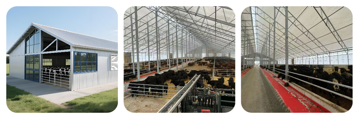 下载 (1) Prefab Steel Livestock Barns for Cattle, Sheep & Pigs-Strong, Ventilated & Easy to Assemble