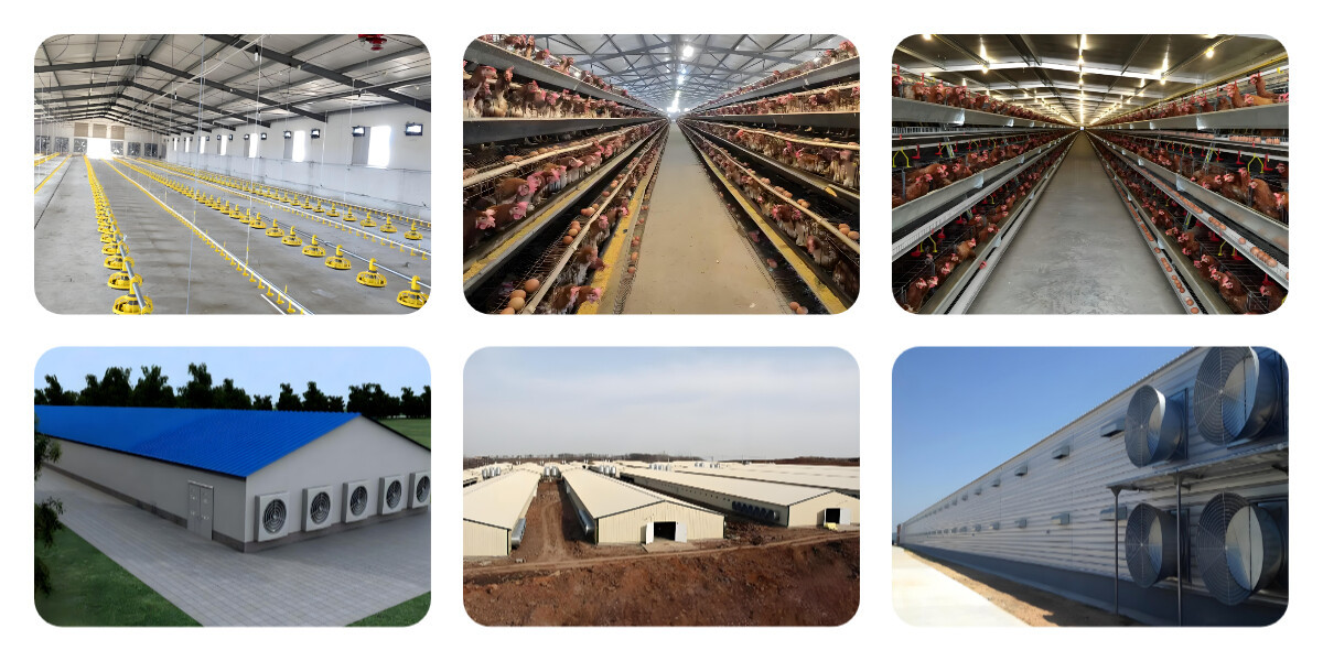 下载 (2) High Quality Steel StructurePoultry Farm Building