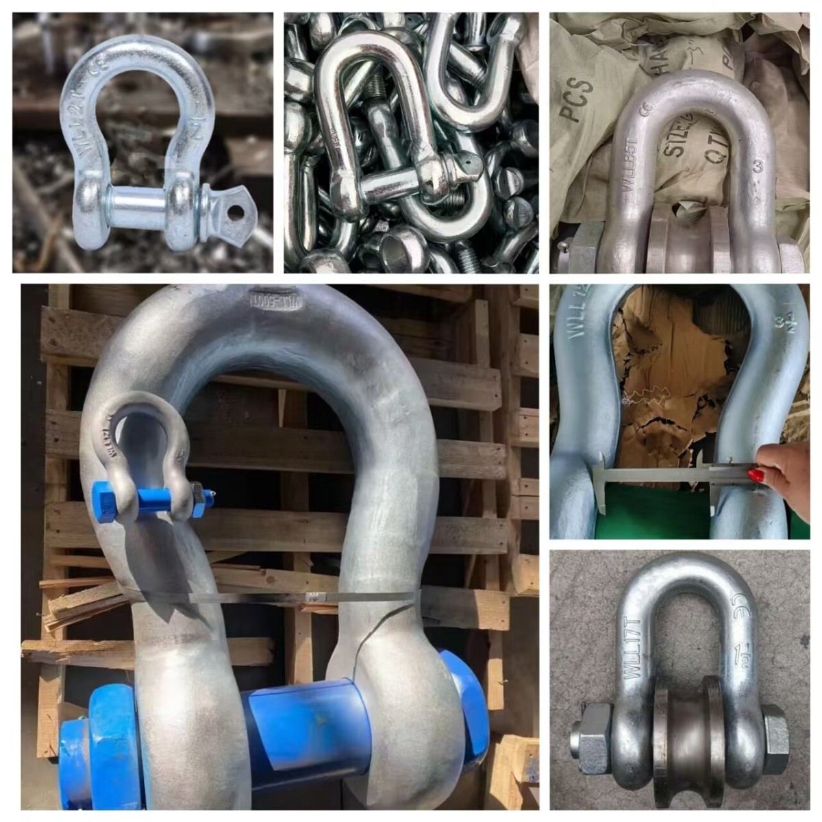 Shackle
