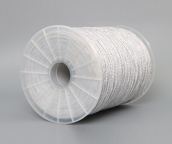 Electrified Rope