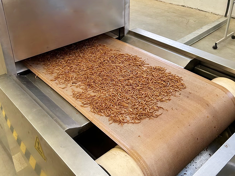 Global Mealworm Market Grows at 7.4% CAGR, Driven by AI Innovation and Sustainable Demand