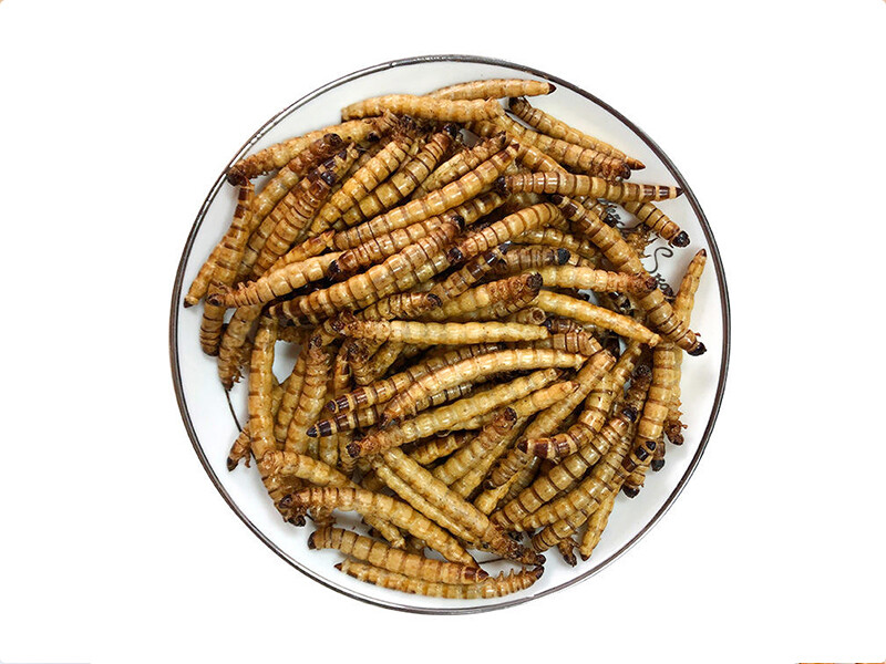 High Protein Dried Yellow Mealworm for Pet Food High Protein Dried Yellow Mealworm for Pet Food