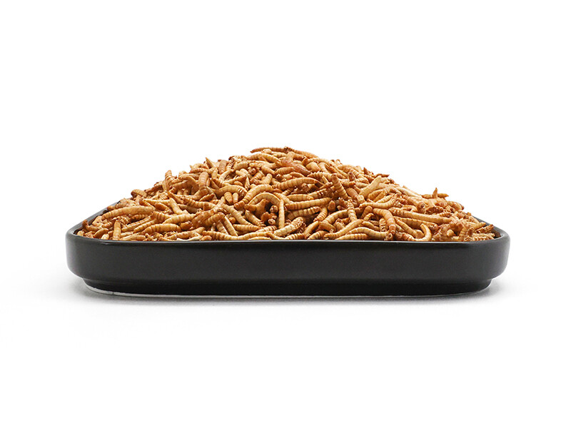 100% Natural High Protein Dried Yellow Mealworms 100% Natural High Protein Dried Yellow Mealworms