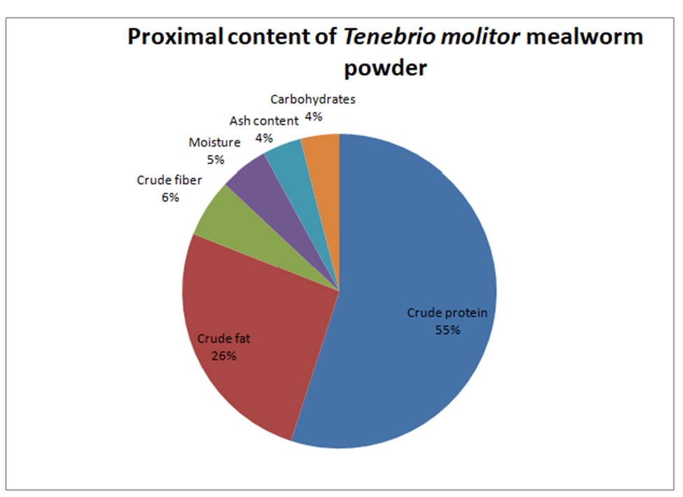 How does Tenebrio molitor’s protein profile compare with other insect-based proteins?