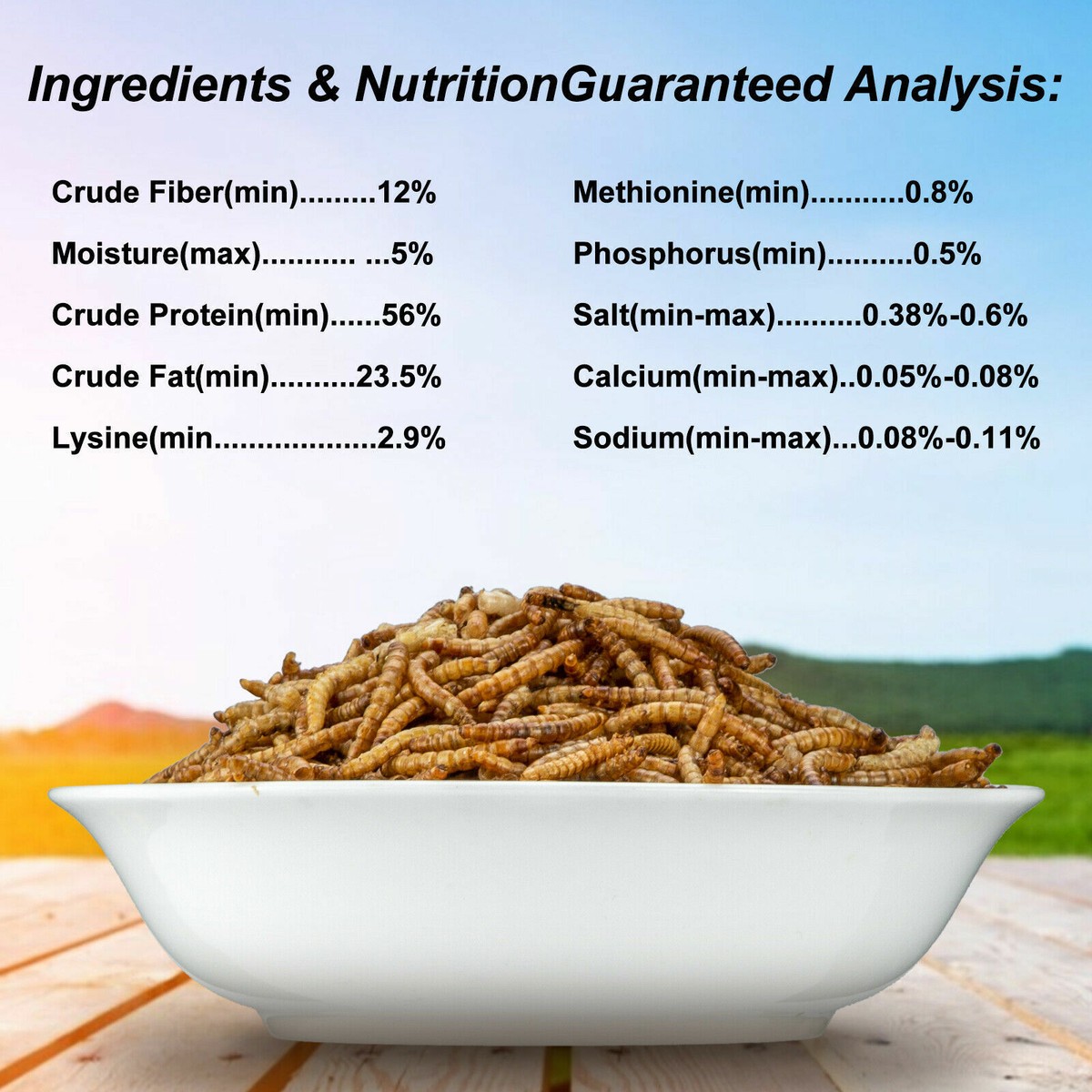 Freeze-Dried Mealworms: The Ultimate High-Protein Superfood for Pets, Poultry & Outdoor Enthusiasts