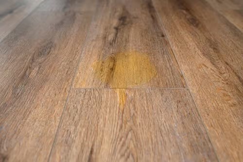 d9843e993977d471f050778875583d55 How to Treat and Remove Stains from Laminate Flooring