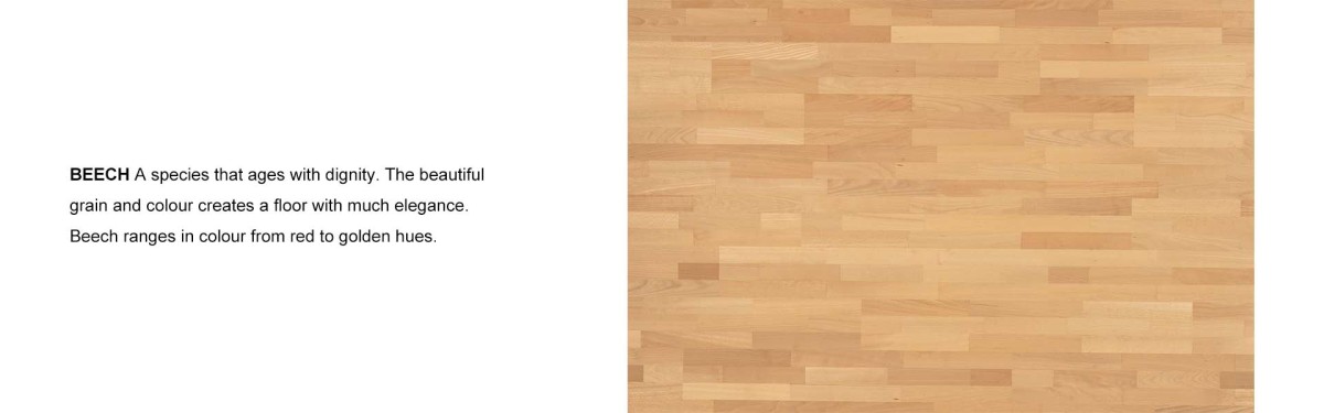 未标题-3 Everything You Need to Know About Wood Flooring