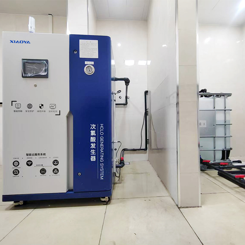 Special Hypochlorous Acid Generator for Cold Chain Transportation of Lotus Root Sprouts