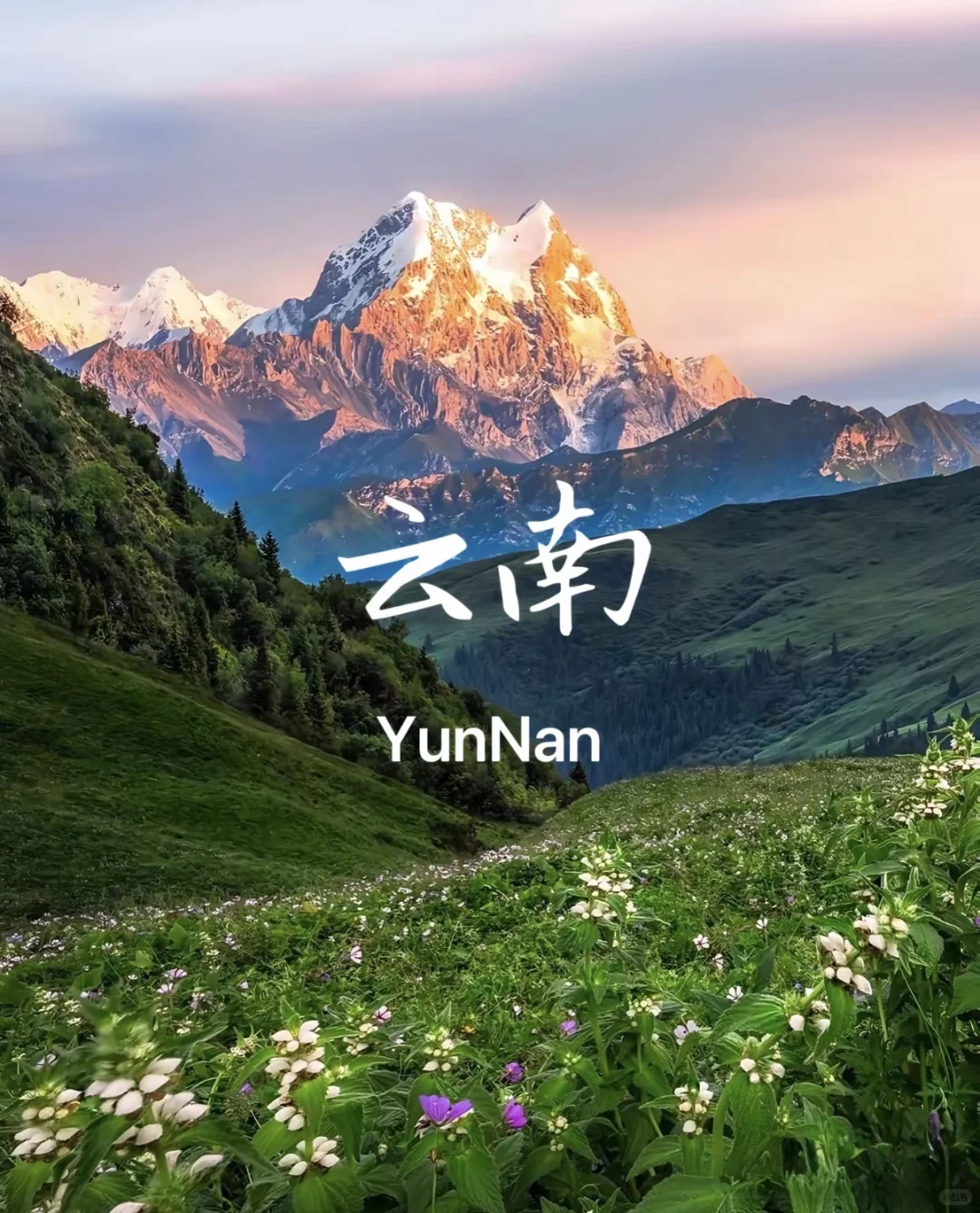 Yunnan Yunnan