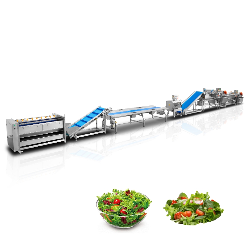 Processing Lines for Salads and Leafy Greens