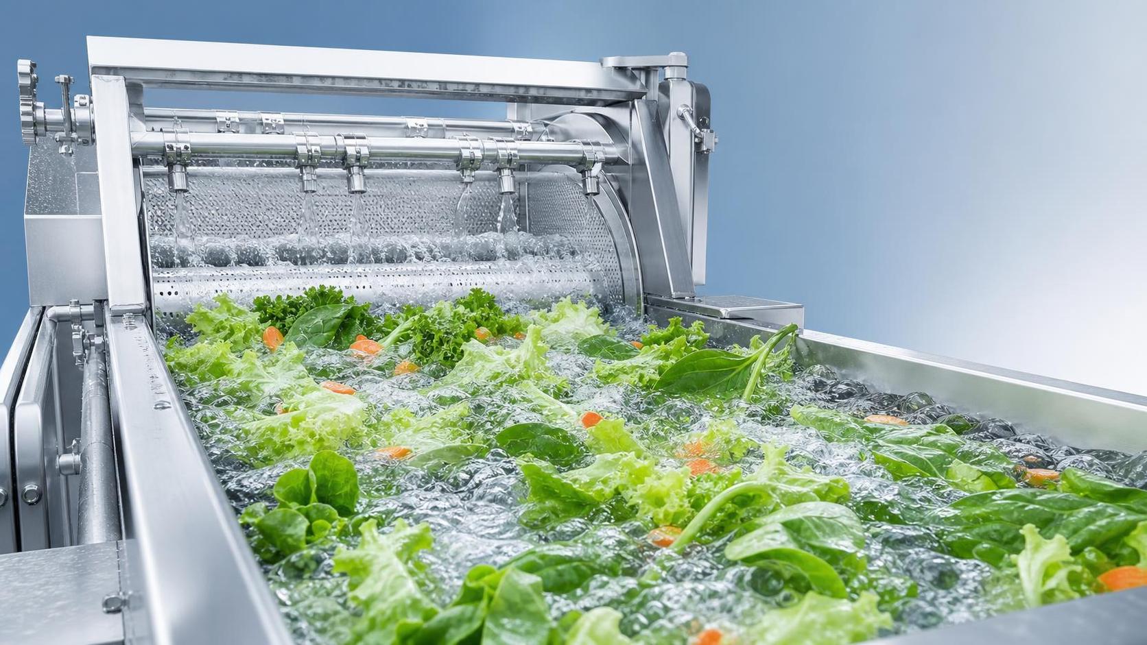 Which Produce Types Benefit Most from a Vortex Washing Machine System?