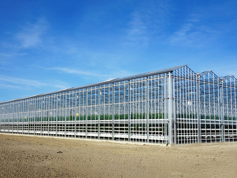 Glass Greenhouse