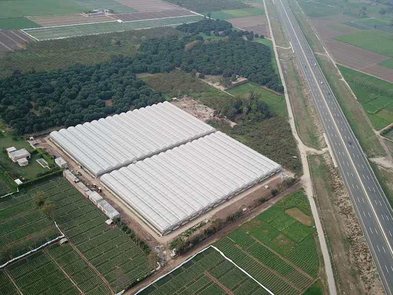 Greenhouse project in Pakistan