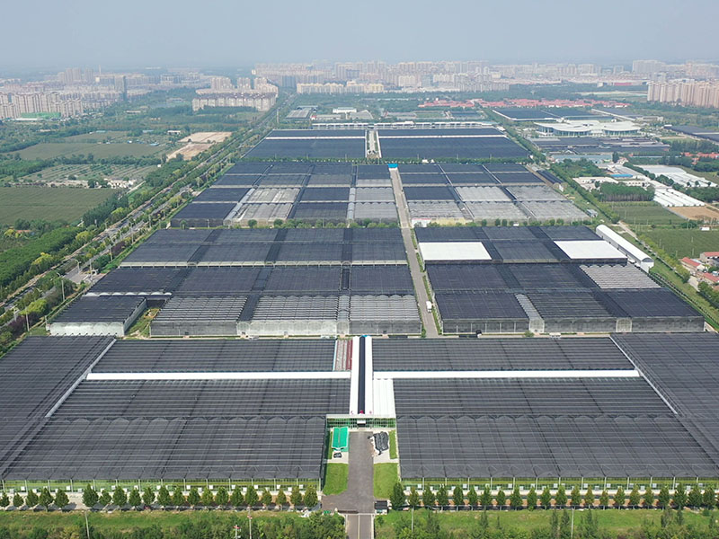 Jinan Shanghe Flower Park