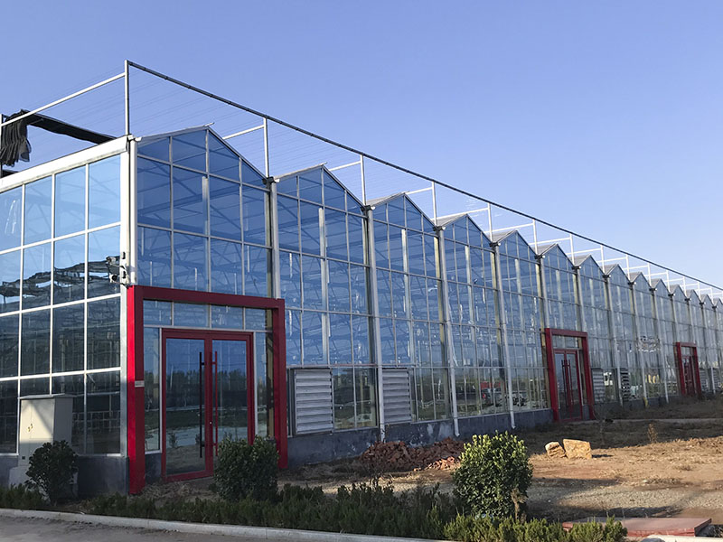 Serres en verre intelligent ou serres à panneaux solaires : quelle est la meilleure solution pour votre entreprise ?