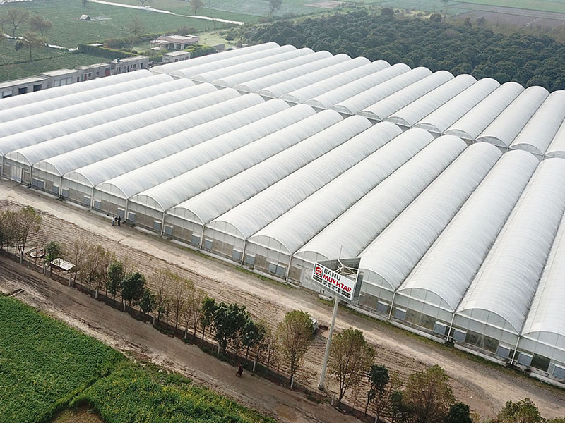 Projet de serre au Pakistan