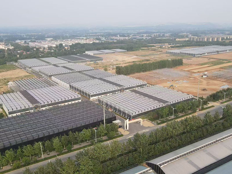 قاعدة Xinhe Orchid Valley فالاينوبسيس