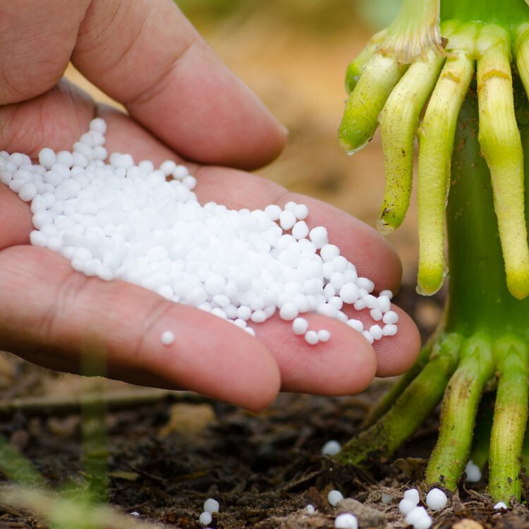 Urea