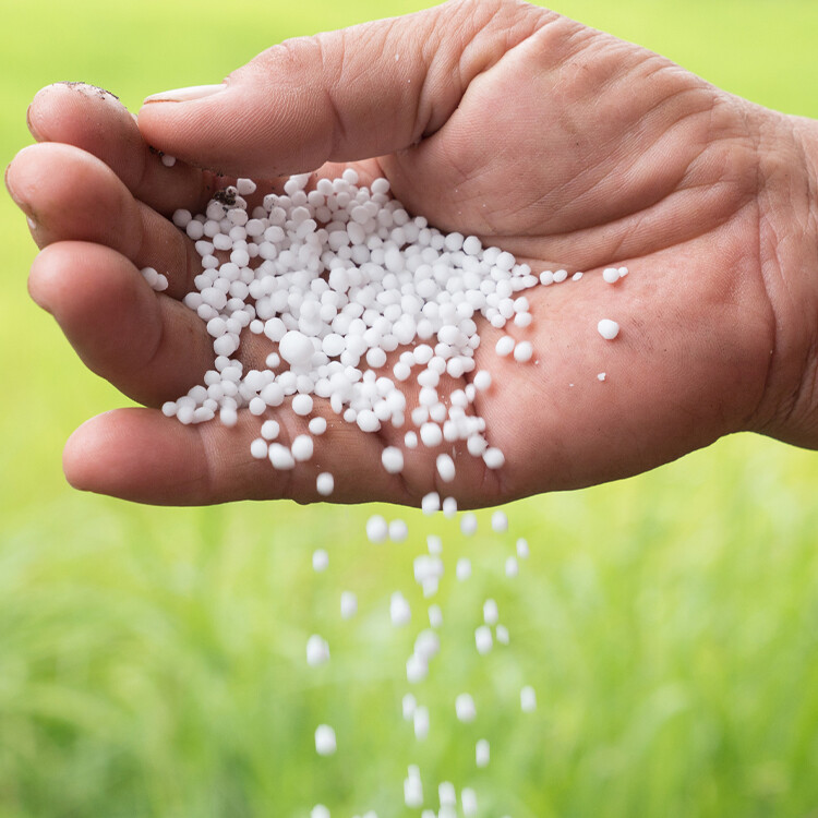 Nitrogen fertilizer