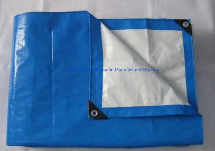 Blue and White PE Tarp Sheet Blue and White PE Tarp Sheet