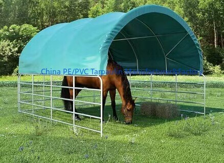 Tent Series Tent Series