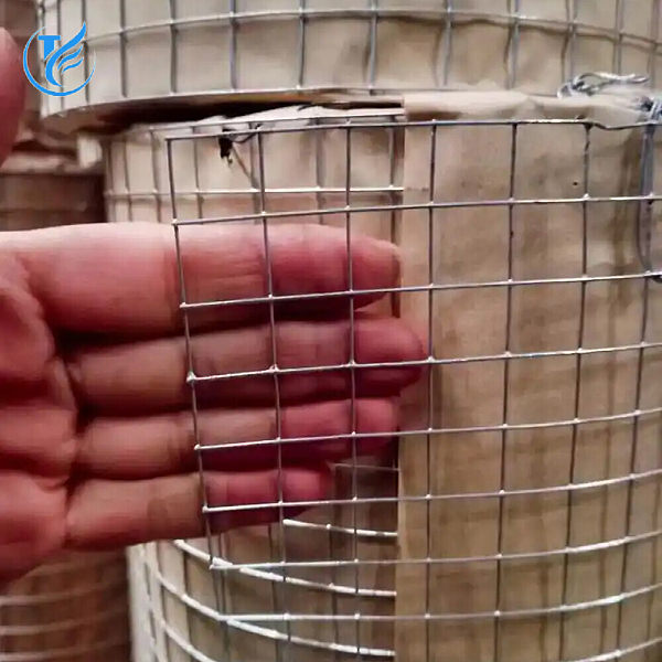 316  Stainless Steel Welded Mesh