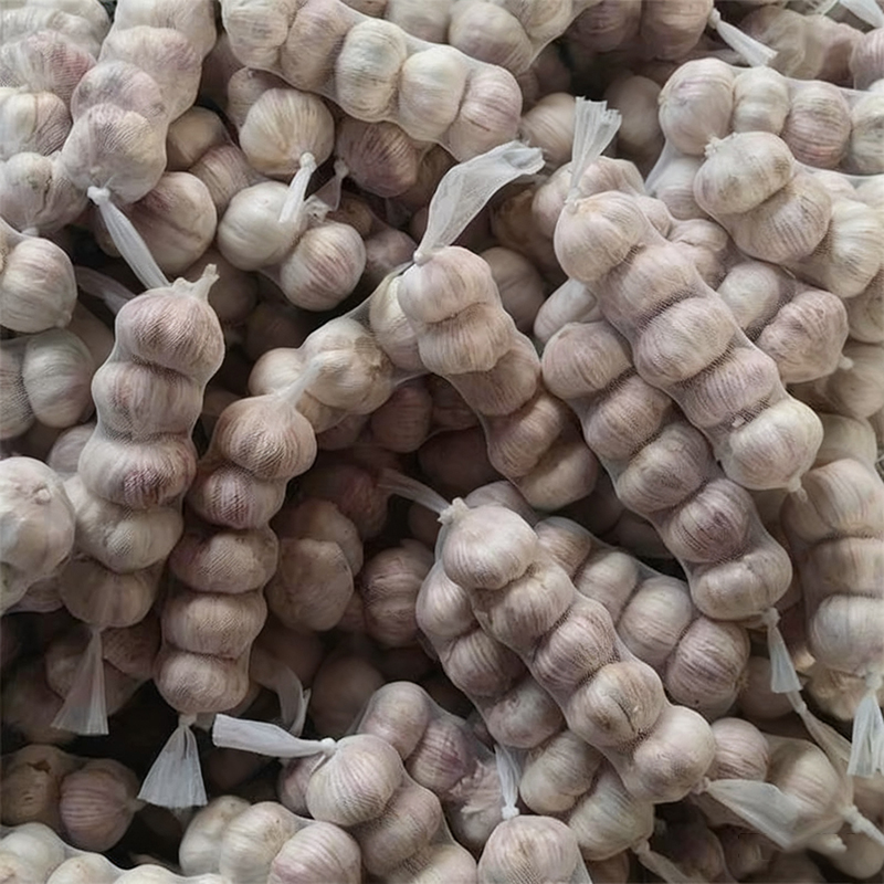 Three Bulbs Garlic