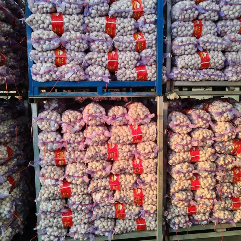 Four Bulbs Garlic