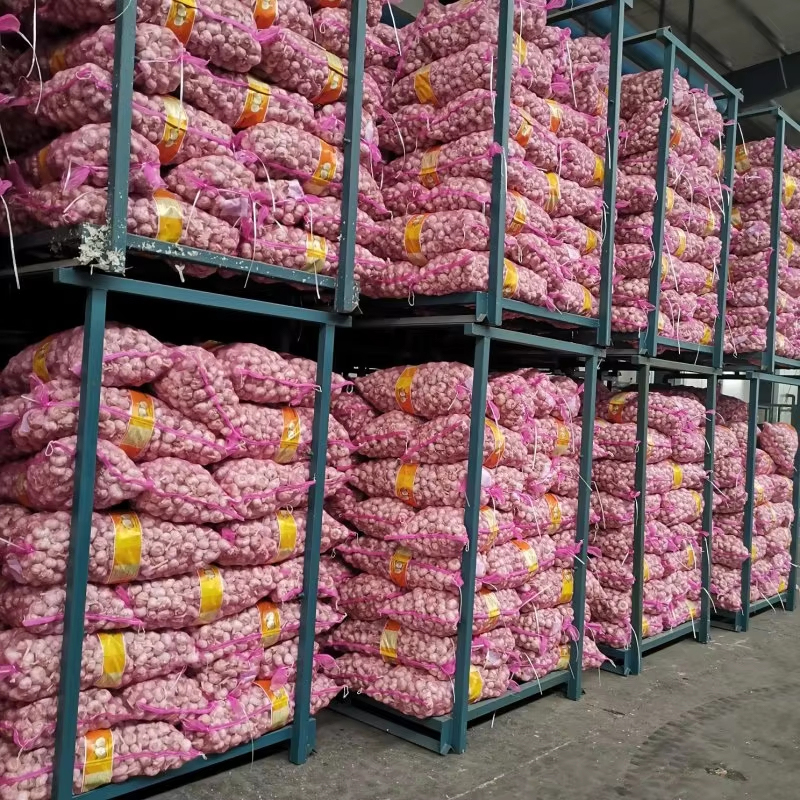 White Garlic Wholesale