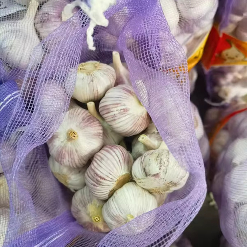 Organic Garlic for Sale