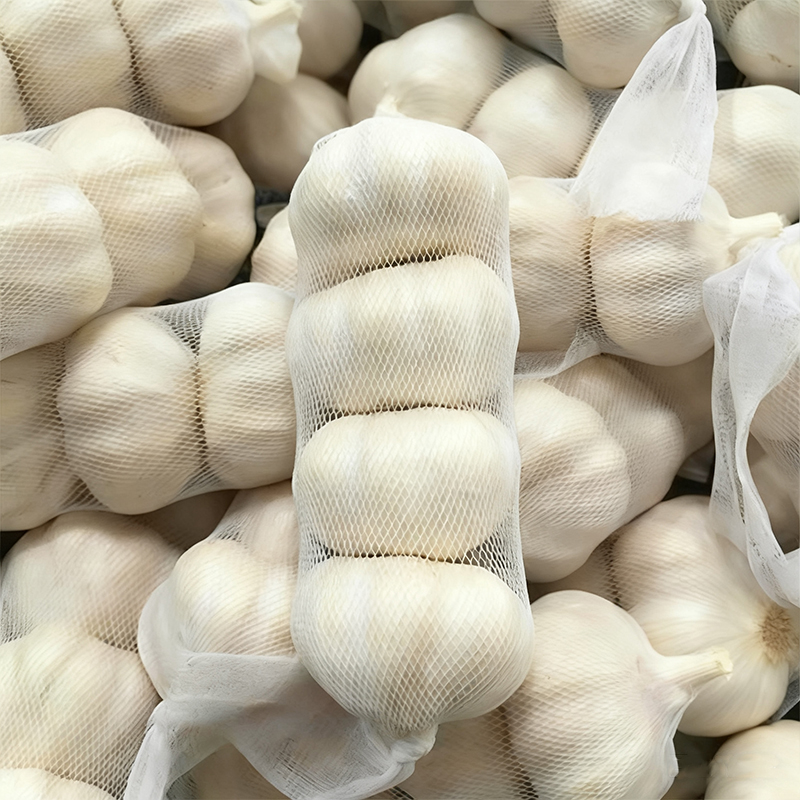 Bulk Garlic Bulbs For Sale