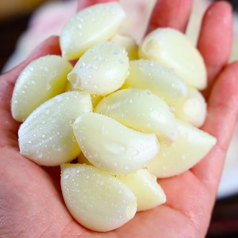 Bulk Garlic Bulbs For Sale