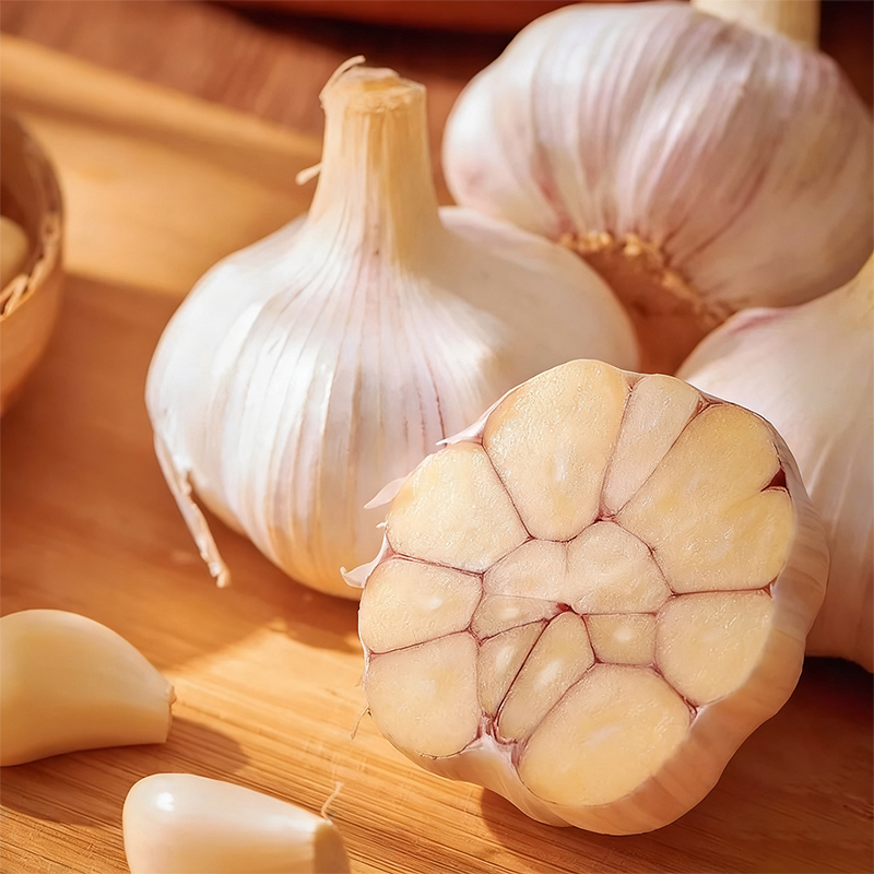 New Crop Fresh Garlic
