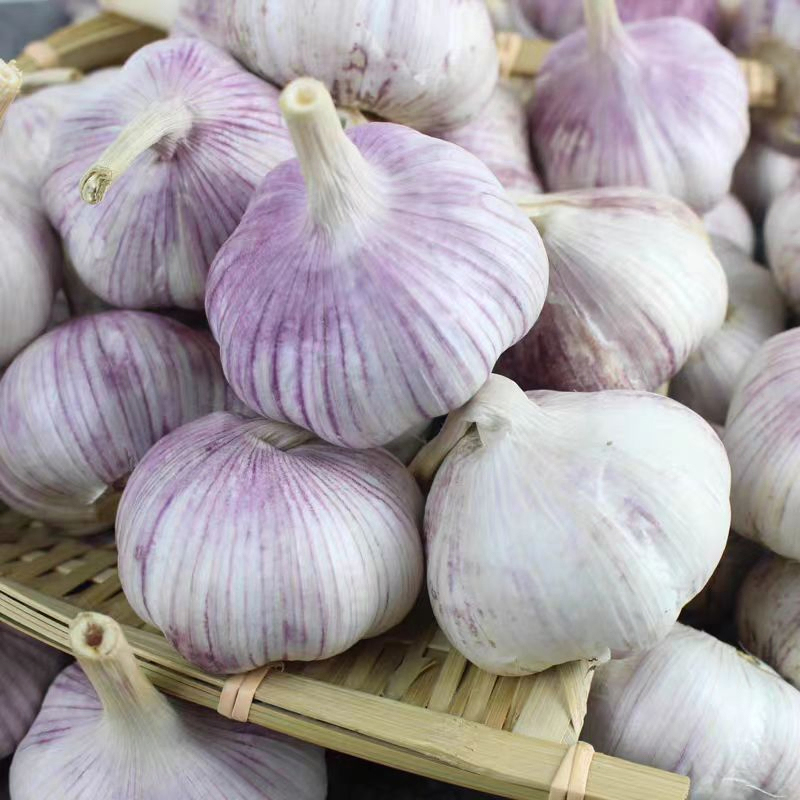 20kg Mesh Bag Garlic Loose Pacakge