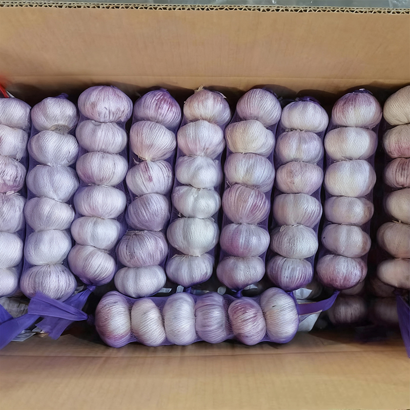 Normal White Garlic