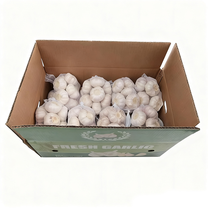High Quality Fresh Normal White Garlic 500g