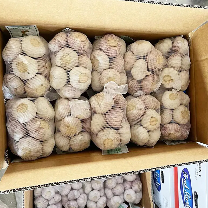 High Quality Fresh Normal White Garlic 500g