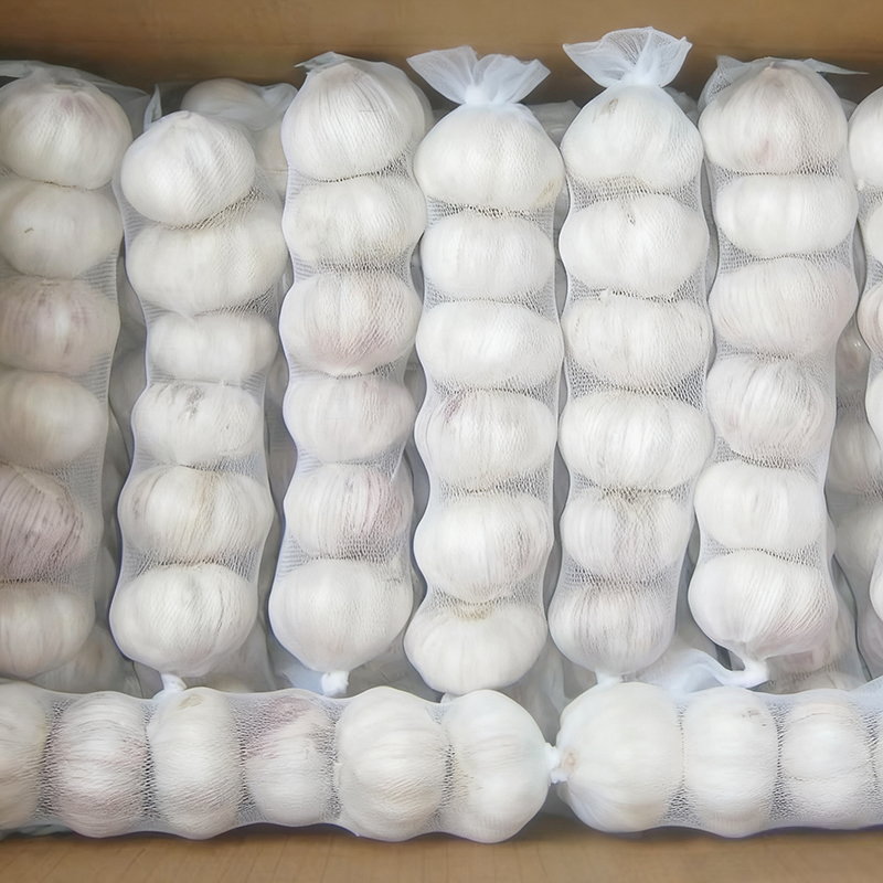 10kg Loose Carton Normal White Garlic Packing