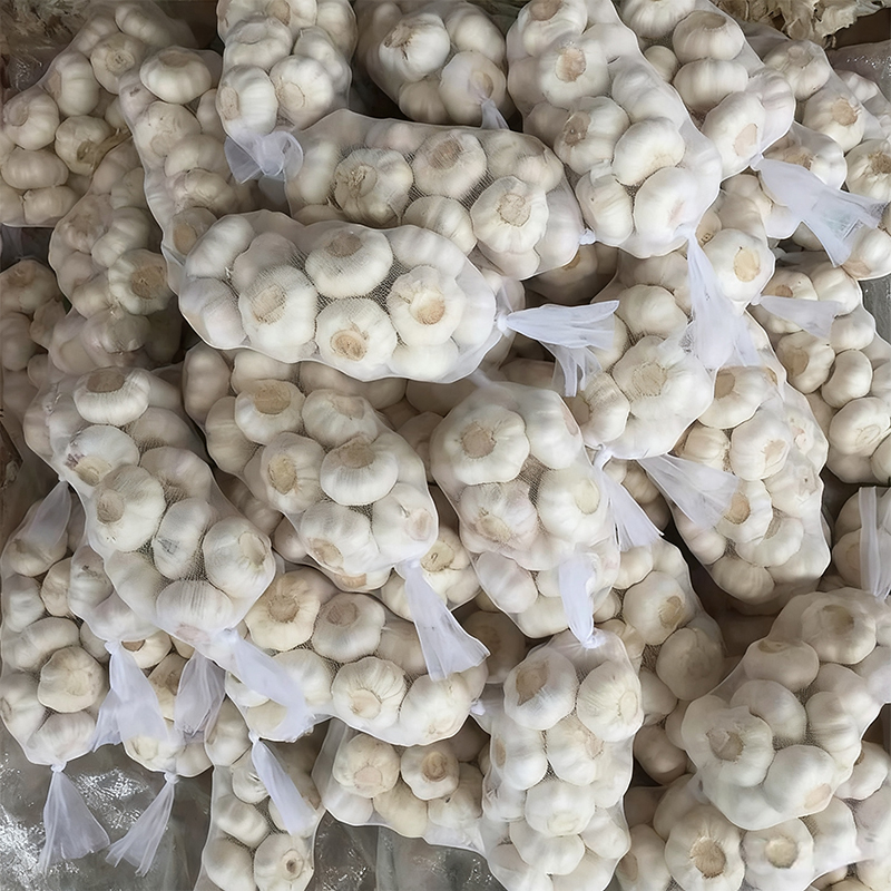 White Garlic Wholesale
