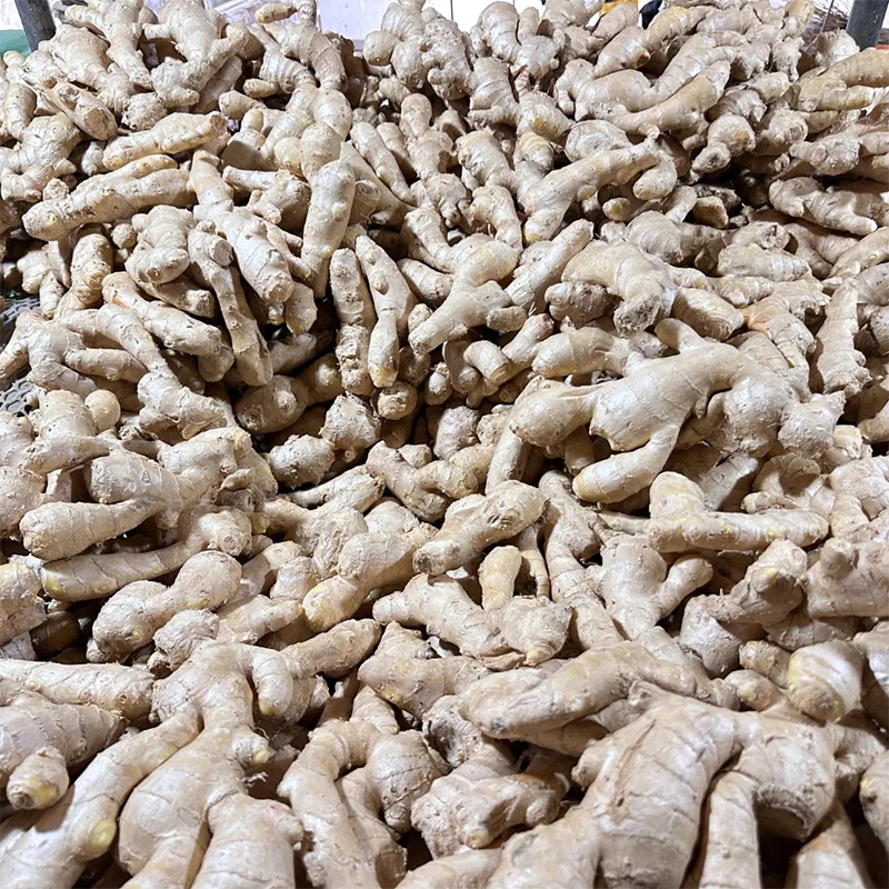 Ginger loose packing