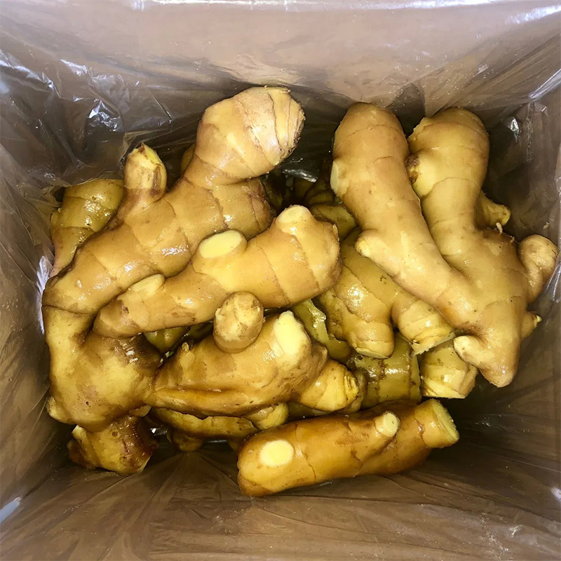 Ginger loose packing