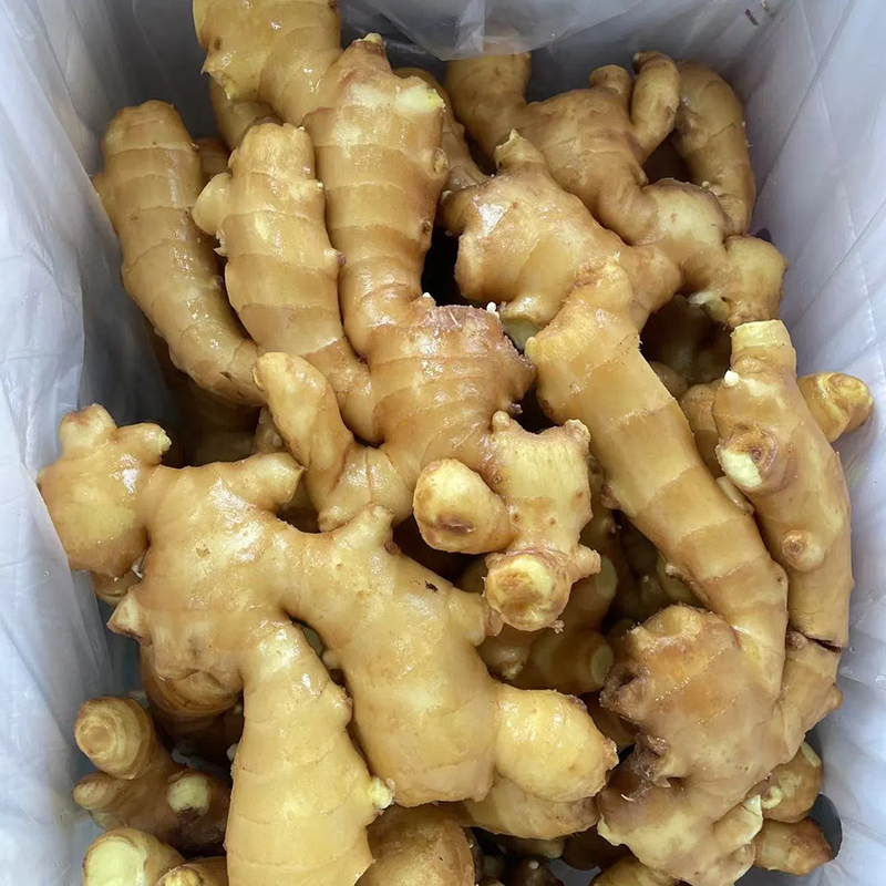 Chinese Air Dried Ginger Supplier