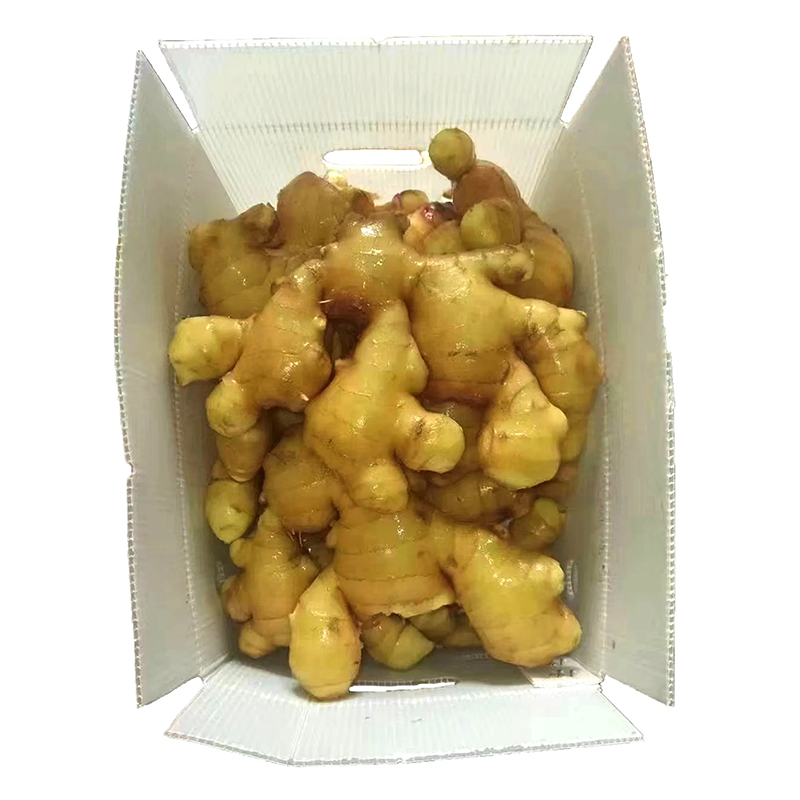 Fresh Ginger