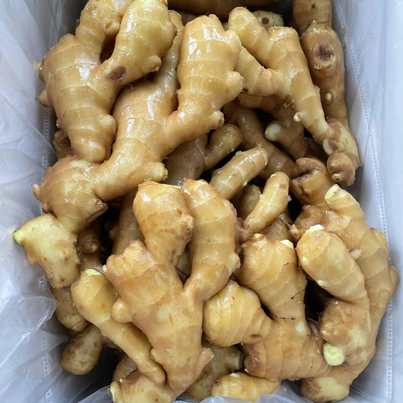 Fresh Ginger