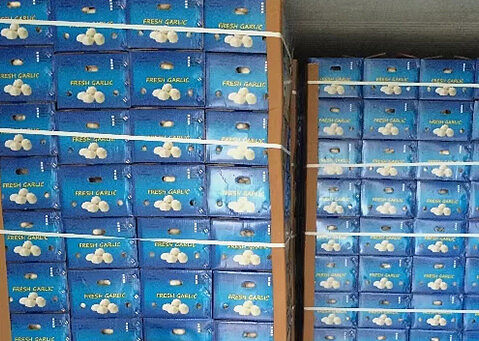 Cartons are sturdy, durable, environmentally friendly, and recyclable, facilitating transportation and storage.