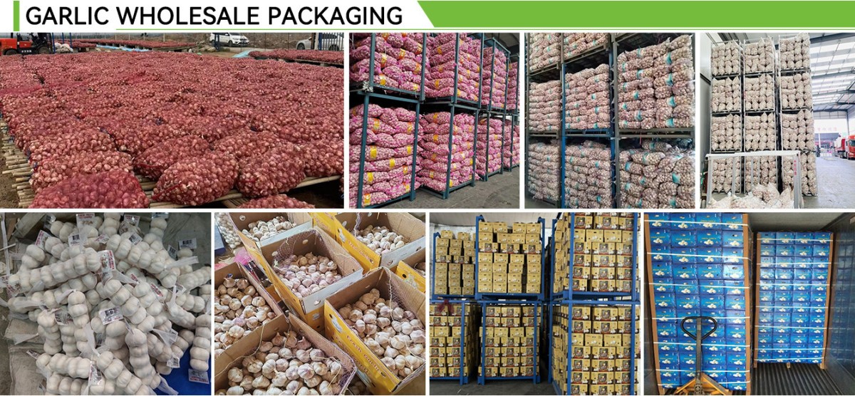 Fresh Pure White Garlic Small Package