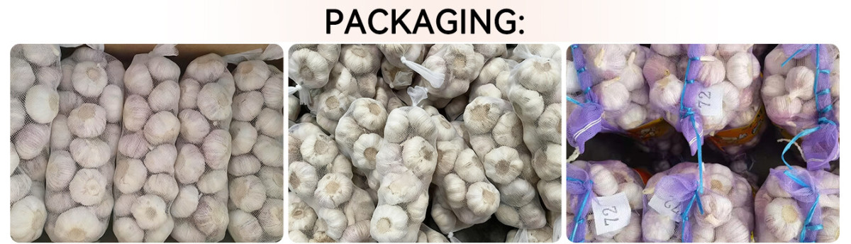 Bulk Fresh Garlic