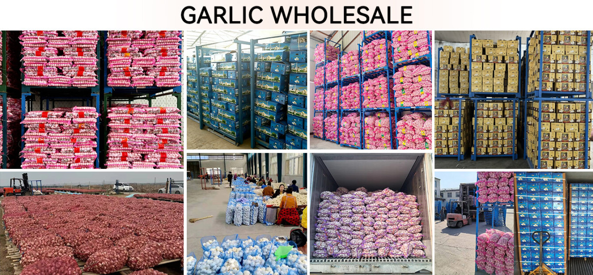 Bulk Fresh Garlic