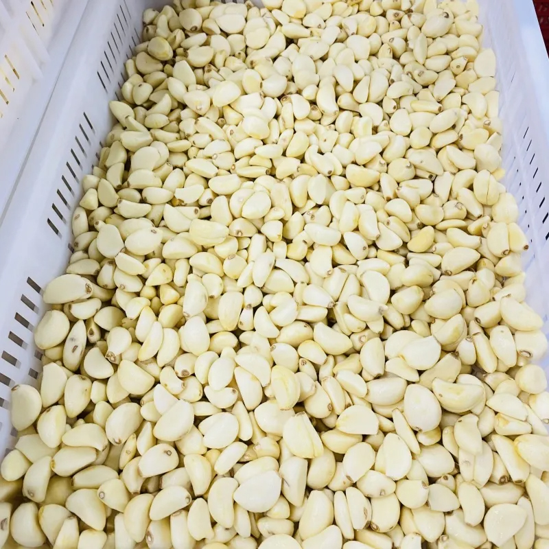 Fresh peeled garlic