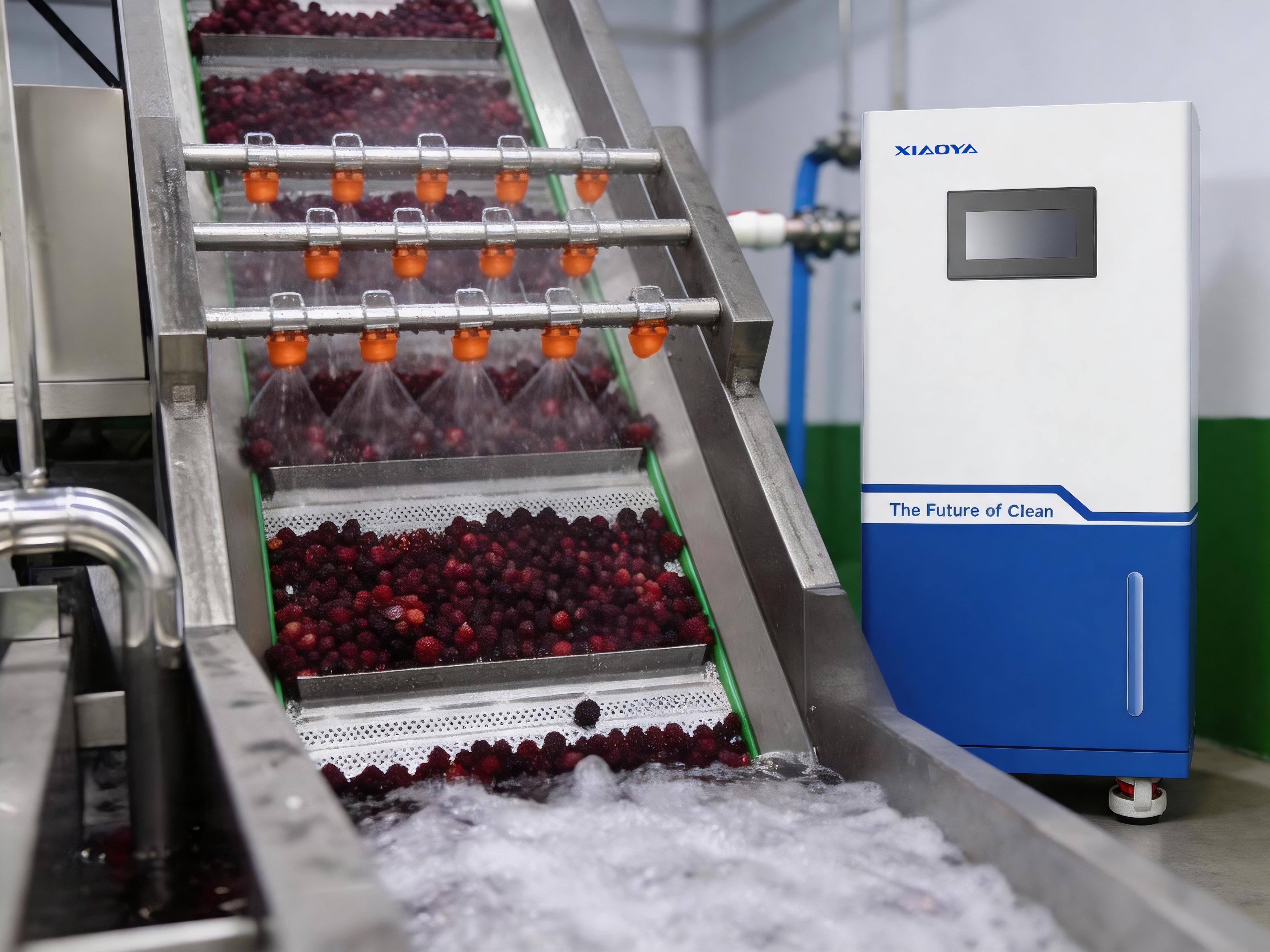 Teknologi Menjaga Keamanan Buah Segar | Generator Asam Hipoklorit Merevolusi Proses Perendaman dan Pencucian Bayberry, Mengurangi Kehilangan, Menghilangkan Residu Pestisida, dan Tanpa Sisa